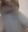 seg