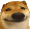 dog emote