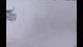 NHELVV emote