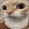 uuhgun emote