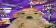 Brainrot emote
