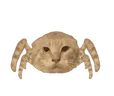 pajonk emote
