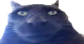 BRO