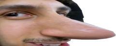 NOSE emote