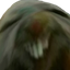 xdg