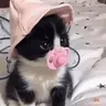 bb emote