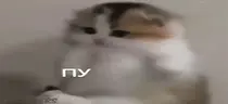 pupupu emote