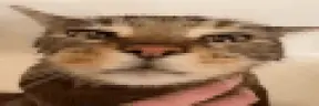 AOOOUUUUU emote