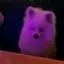 pupJAM