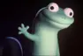 lizard