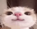 ( emote