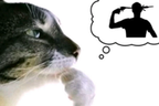 hmm emote