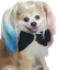 Ari