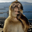 monkeythink