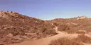reeseDesert
