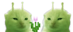 GlorpFlowerOffer