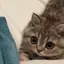 looking