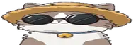 wideCatNod