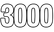 3000