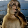 Think emote