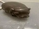 hippo emote
