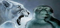 ragebaiter emote