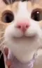 SmileCat emote