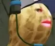 uhhh emote