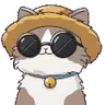 PsyCatNod emote