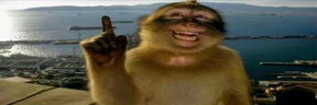 manik emote