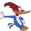 SoObservo