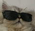 swagshi
