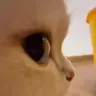 01 emote