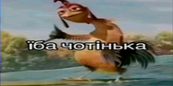 ibachotinko emote