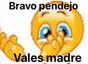 bravo