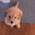 arf