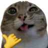 sendy emote