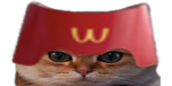 Mcchonky emote