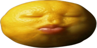 wideSpeedLemon emote