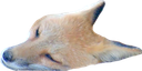 reedpy