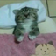 sleep