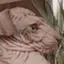 creatureCat