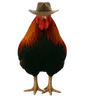 CHICKEN emote