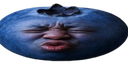 wideSpeedBlueberry