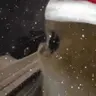 -0 emote