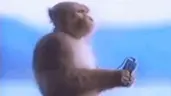 Listen emote