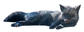 fennOgre