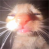zuh emote
