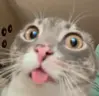 JAJAweird emote