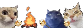 campinG emote